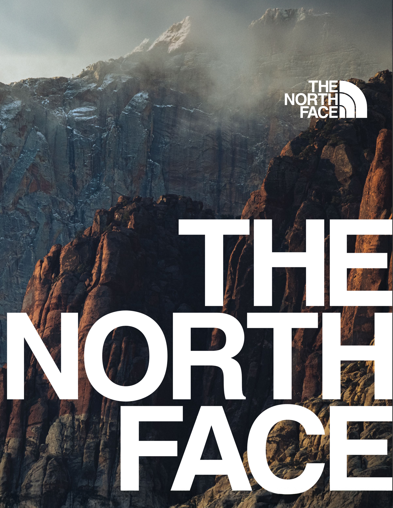 The North Face Jackets